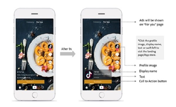 market dropshipping store market dropshipping store