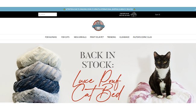 Shopify dropshipping stores Shopify dropshipping stores