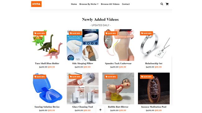 Shopify dropshipping stores Shopify dropshipping stores